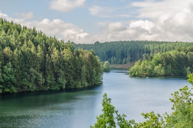 Le lac de Robertville vu depuis les hauteurs, encadré de forêts de conifères sous un ciel nuageux.