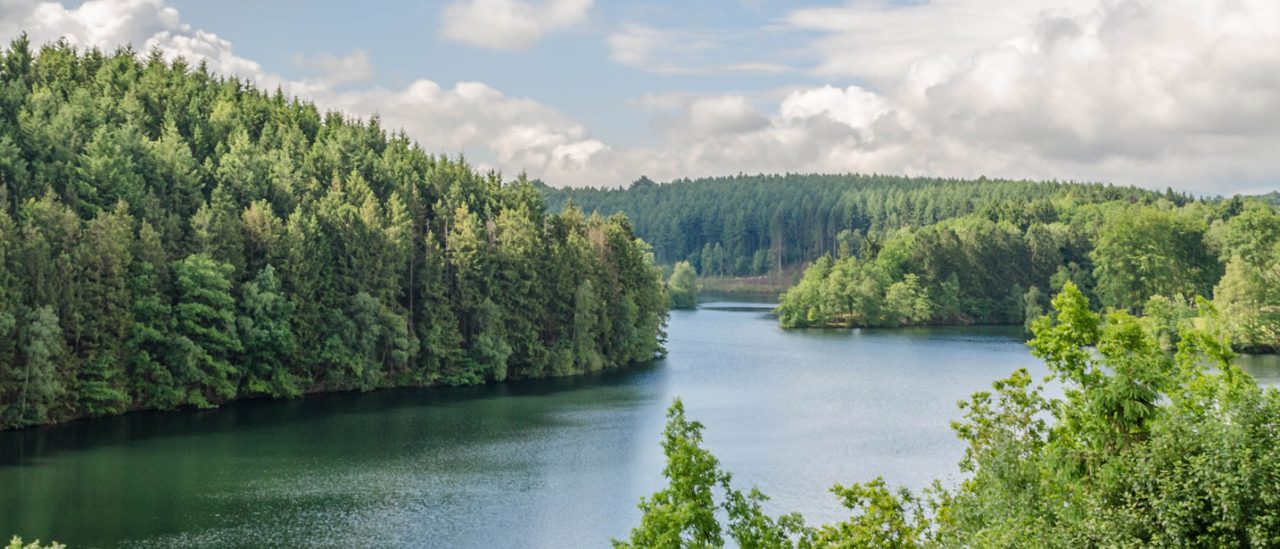 Le lac de Robertville vu depuis les hauteurs, encadré de forêts de conifères sous un ciel nuageux.